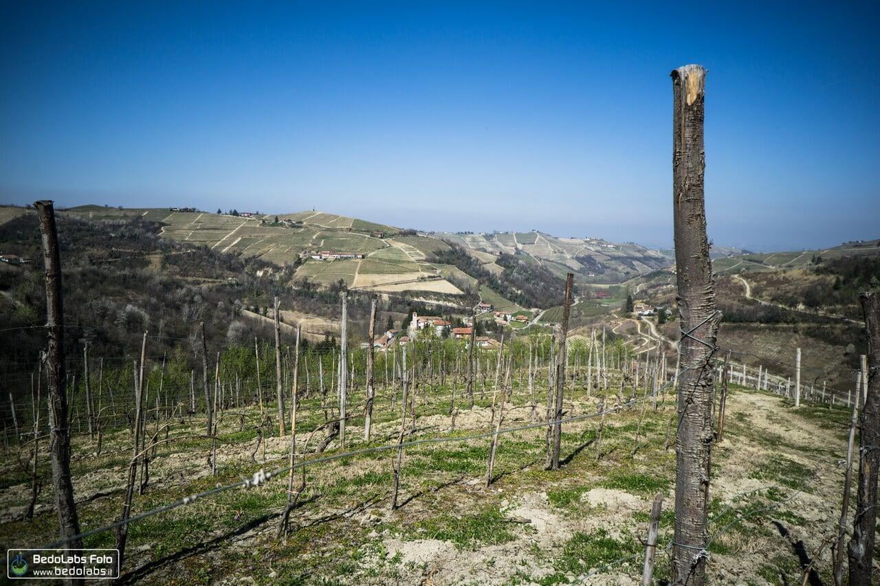 Strada Panoramica delle Langhe: primavera tra le colline